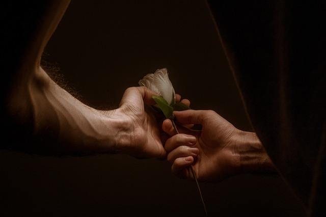 A man and woman's hand cupping a single white rose together